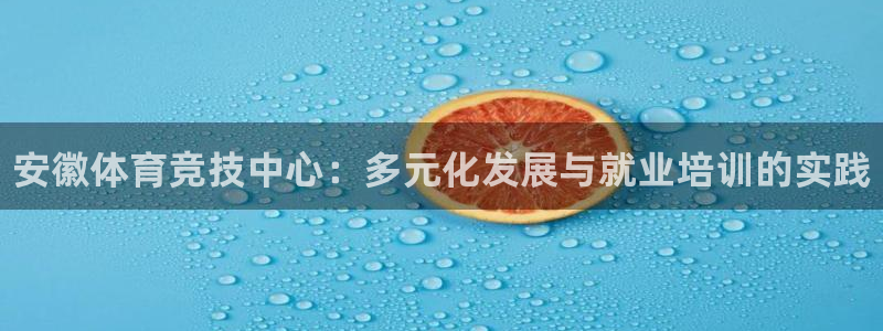 vsport体育官方正版app娱乐平台:安徽体育竞技中心:多