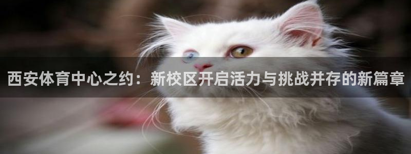 vsport体育官方正版app集团官网首页:西安体育中心之约