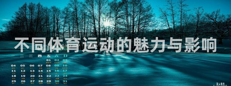 vsport体育官方正版app集团:不同体育运动的魅力与影响