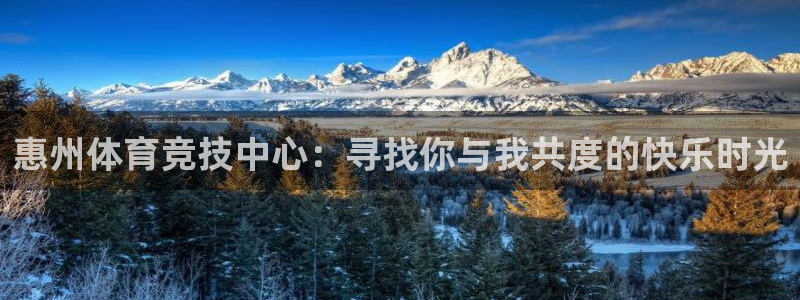 vsport体育官网下载招商电话地址:惠州体育竞技中心:寻找