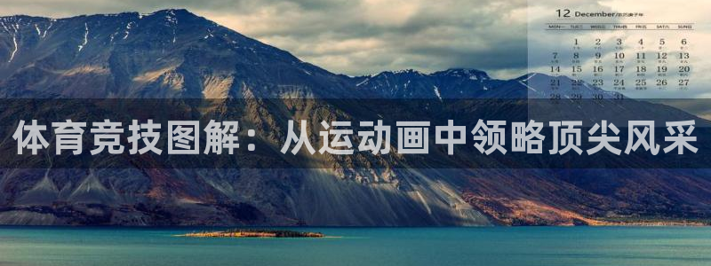 vsport体育官网下载平台是正规平台吗安全吗:体育竞技图解