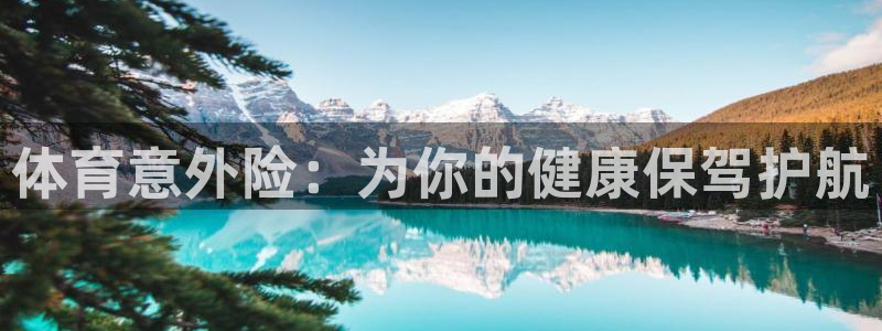 vsport体育官网下载软件:体育意外险:为你的健康保驾护航