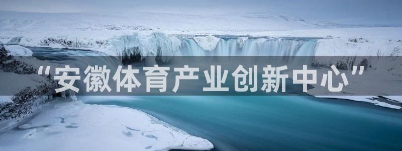 vsport体育官网下载平台APP:“安徽体育产业创新中心”
